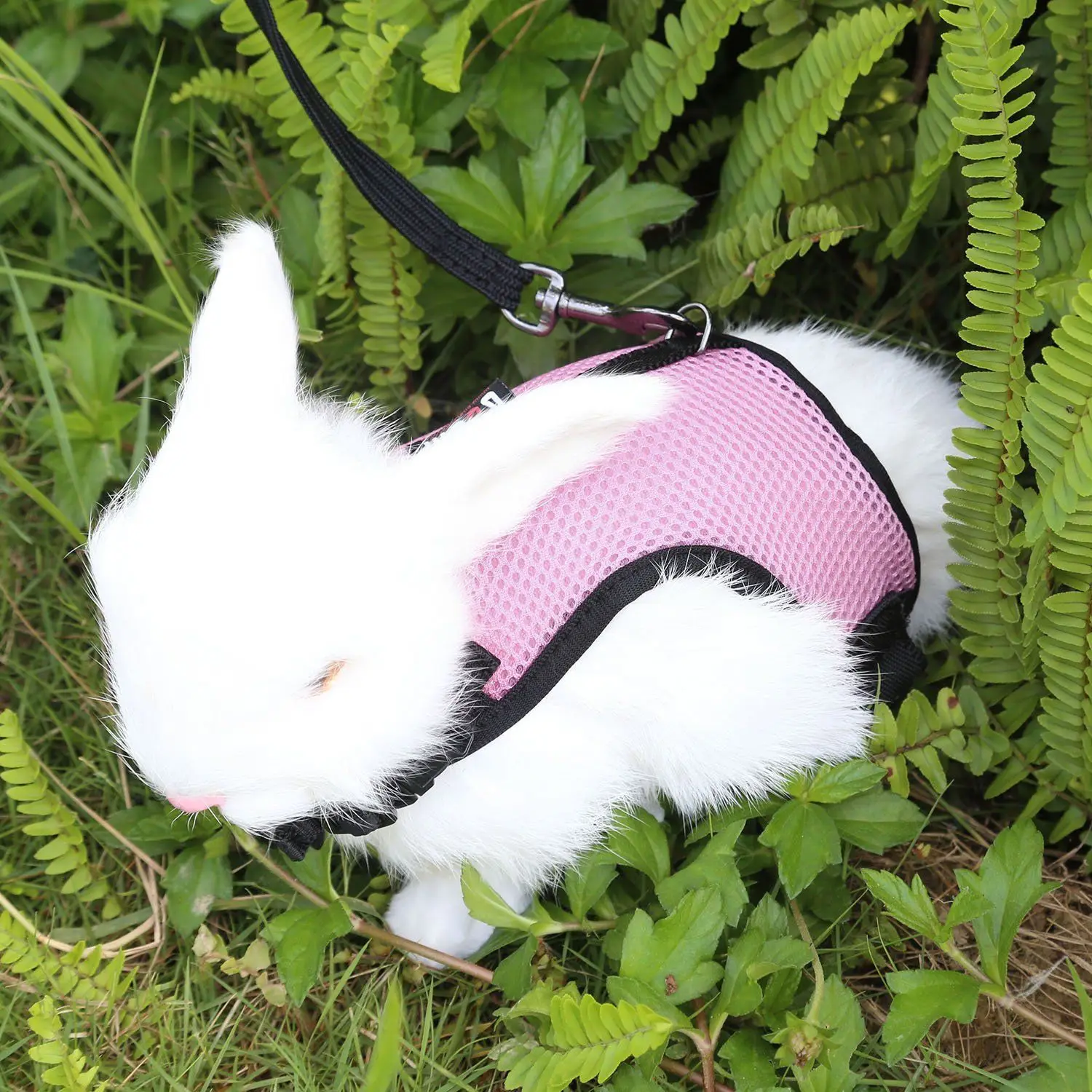 

Small Rabbit Harness 4lbs Below 120cm Elastic Leash Comfortable Padded Adjustable Chest Stomach Pet Leash Bunny Harness