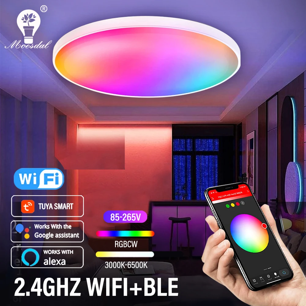 RGBCW Smart LED Round Ceiling Light TUYA WIFI Compatible with Alexa Google Home Dimmable Music Sync 24W for Bedroom Living Room