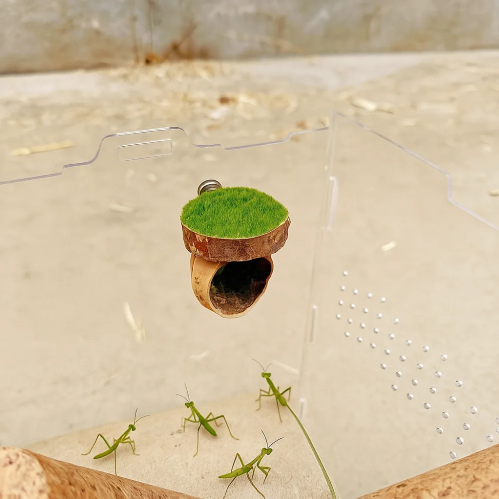 العنكبوت المغناطيسي إخفاء الكهف اليدوية البسيطة المغناطيسي العنكبوت الموئل الطبيعي إخفاء الزخرفية القفز العنكبوت الضميمة ديكور #5