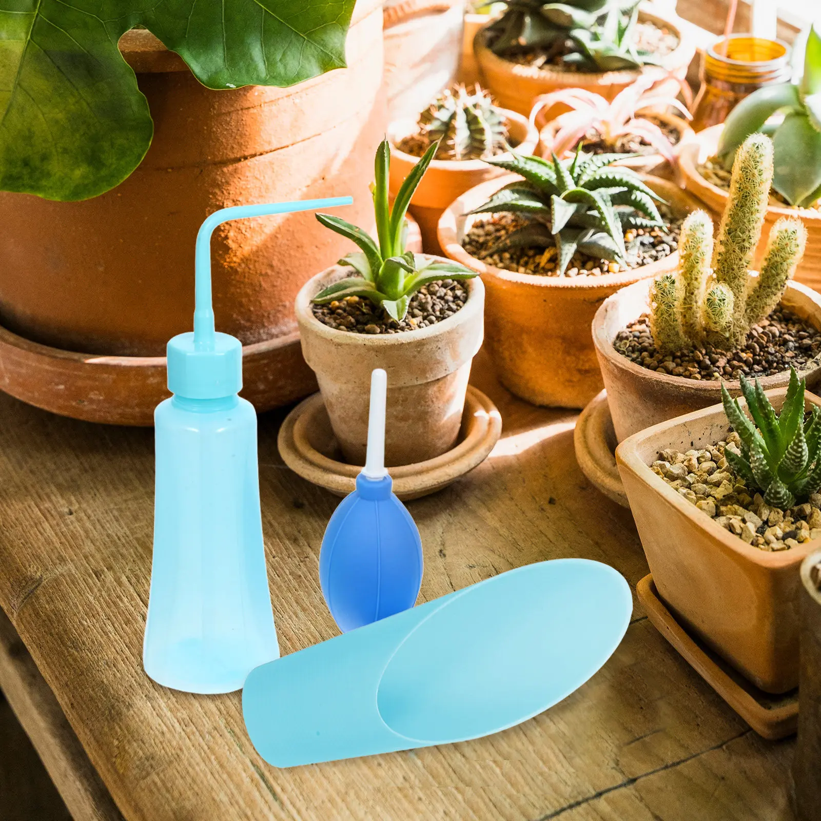1Set Gardening Set Lightweight Comfortable Handles PP Construction for Home Garden Soil Cultivation Succulent Care Transplanting