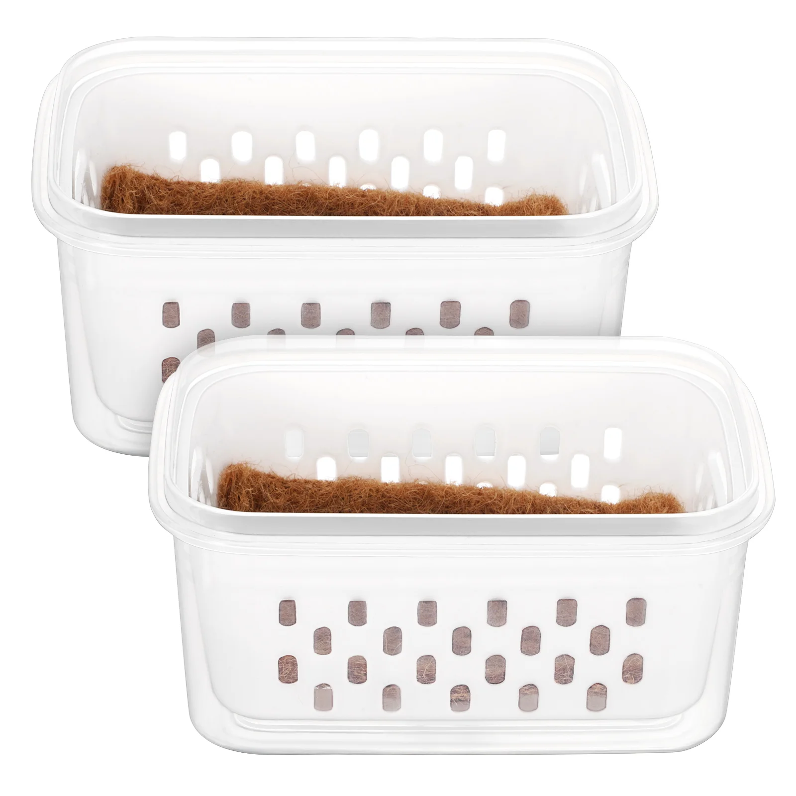 

2 Pcs Potted Plant Transparent Seeds Pots Indoor Germination Tray Pvc Clear Nursery with Drainage