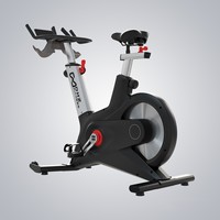 Exercise Bike For Disabled Elliptical Bicycle Outdoor Air Electric By Cycle Total Crunch Gym Equipment Children