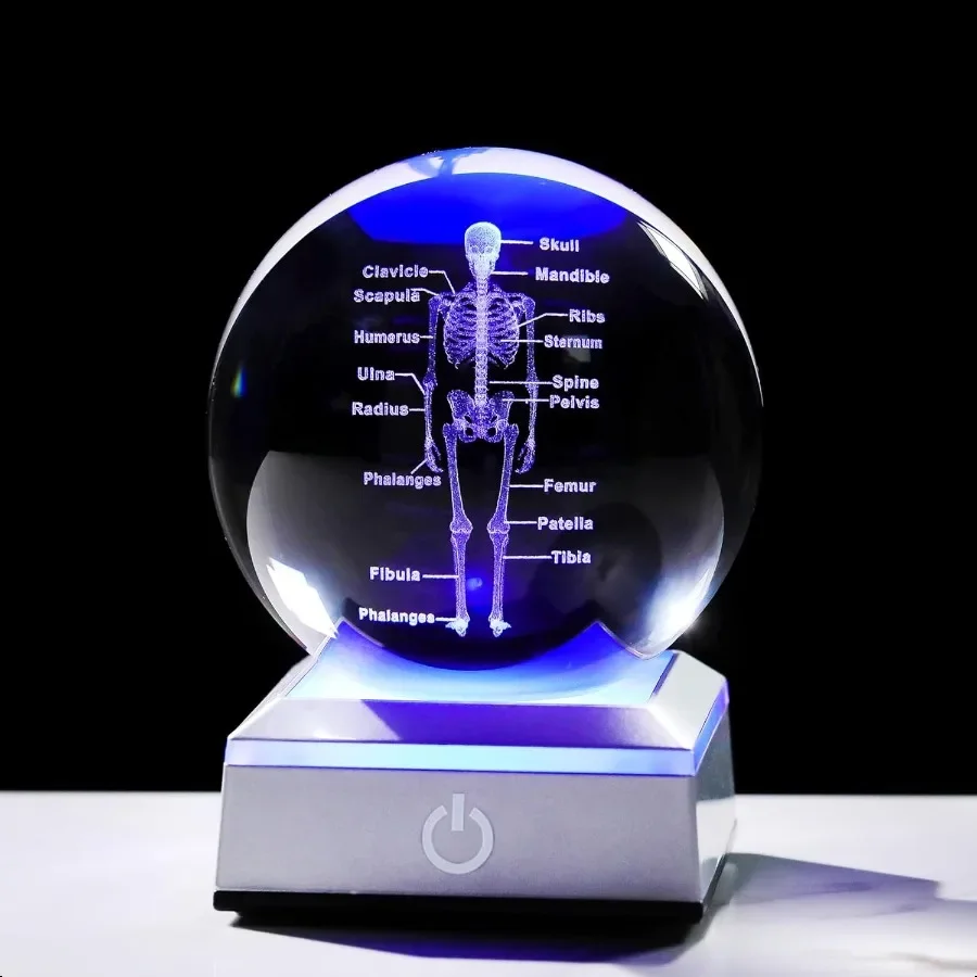 

3D Human Skeleton 3.15 in. Crystal Ball Gifts for Surgeon Doctor Osteologist Glass Sphere Etched Anatomy Model Keepsake for Men