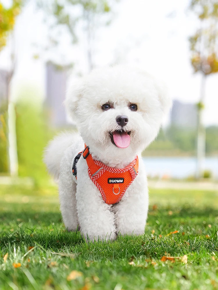 4-point Adjustment Dog Harness and Leash Set for Small Dogs Reflective Mesh Dog Harness Vest Puppy Cat Chest Strap Pet Supplies