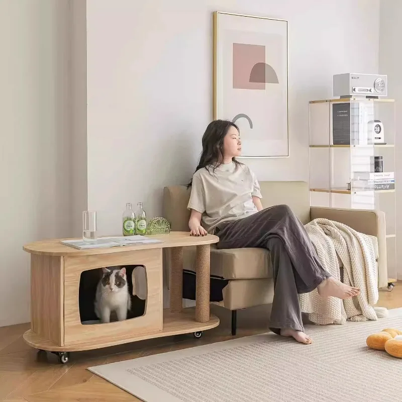 

People pet cat nest sofa coffee table people cat shared furniture side few carts household small apartment cat crawling stroking