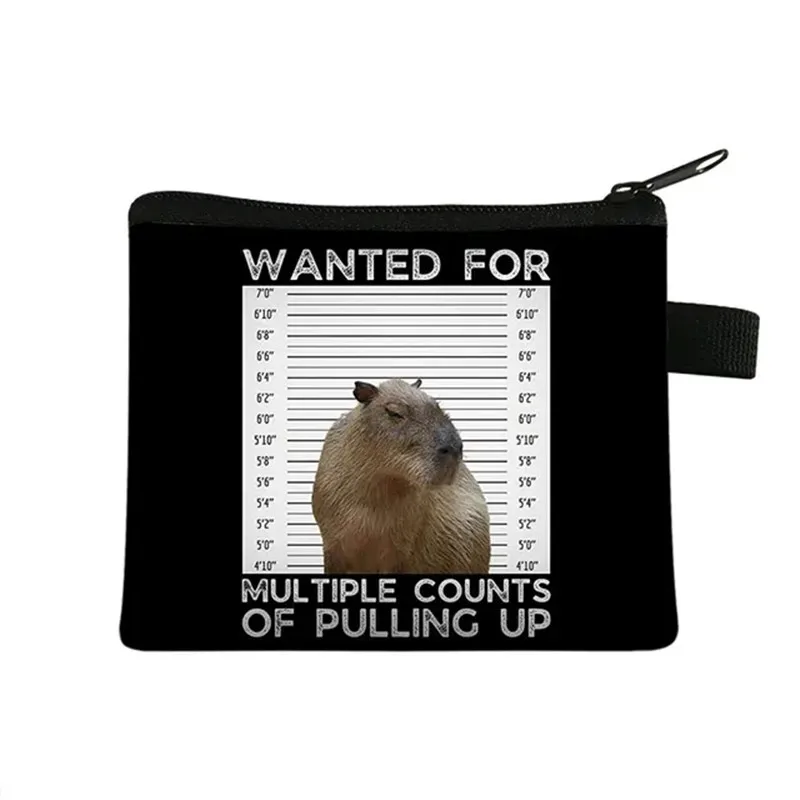 Cute Capybara Animal Coin Bag Women Purse Credit Card Key Earphone Holder Men Coin Purses Smal Handbag Money Bag Mini Wallet