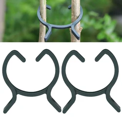 2 Sizes Reusable Garden Plant Clips Planting Support Grippers Great for Flower Vine and Vegetable Lever Loop Clamp Holding Stems