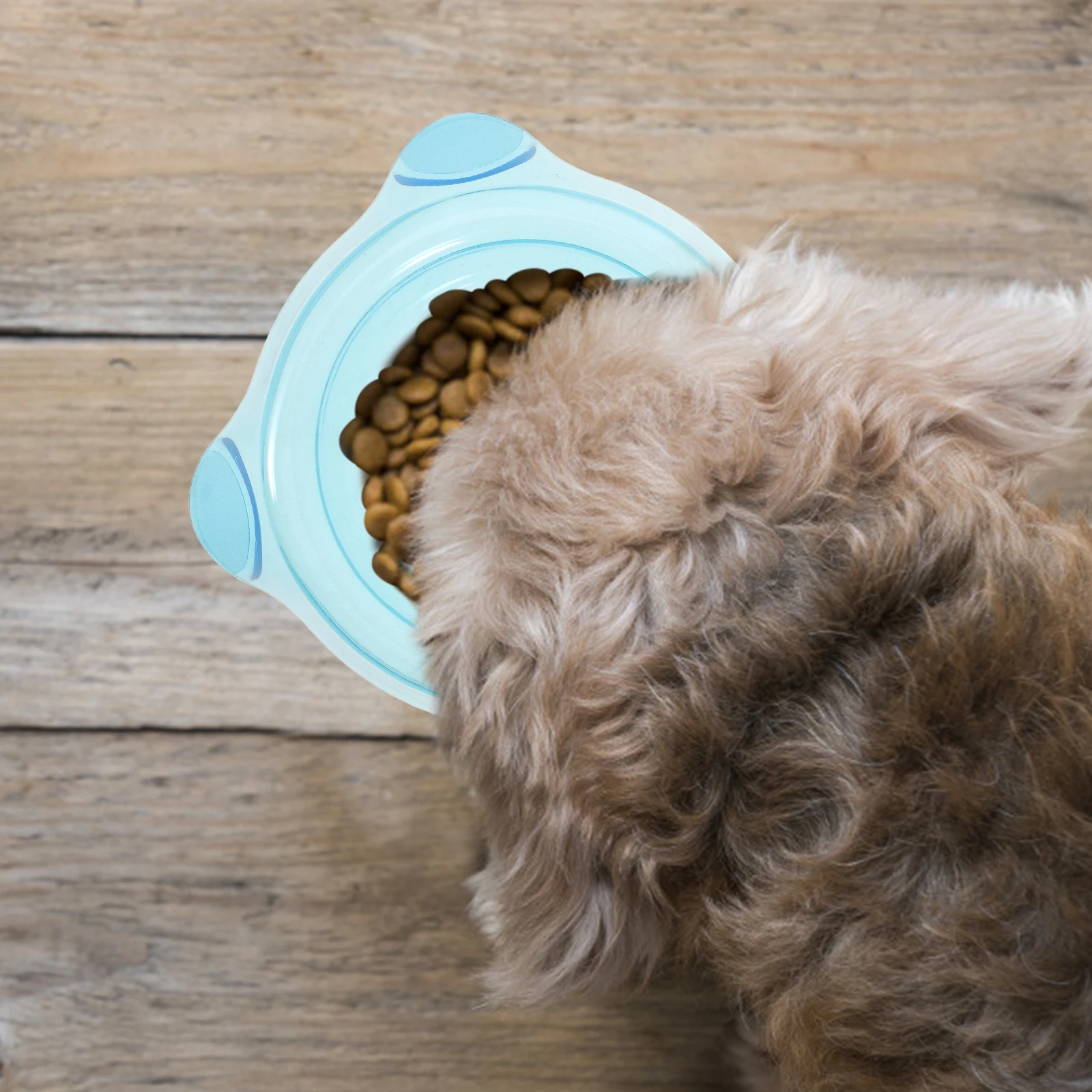 

Sturdy Pet Feeding Clear Food Container Non Slip Cat Water Raised Design Durable Thick Wear Resistant Raised Cat Dog Water