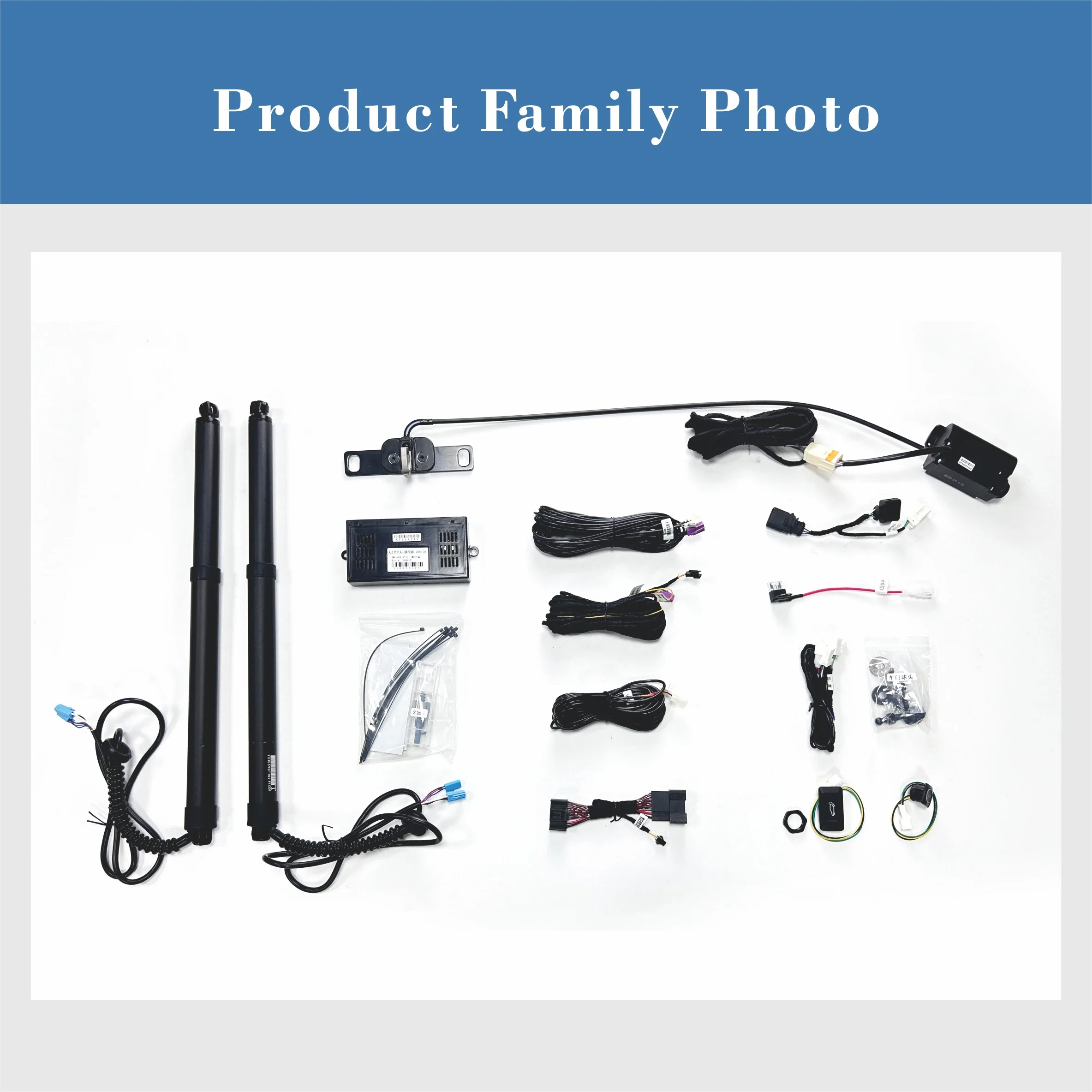 Exclusive Production Worldwide Electric Tailgate Hydraulic Electric Tailgate for Golf Variant Custom  OEM Compression Price