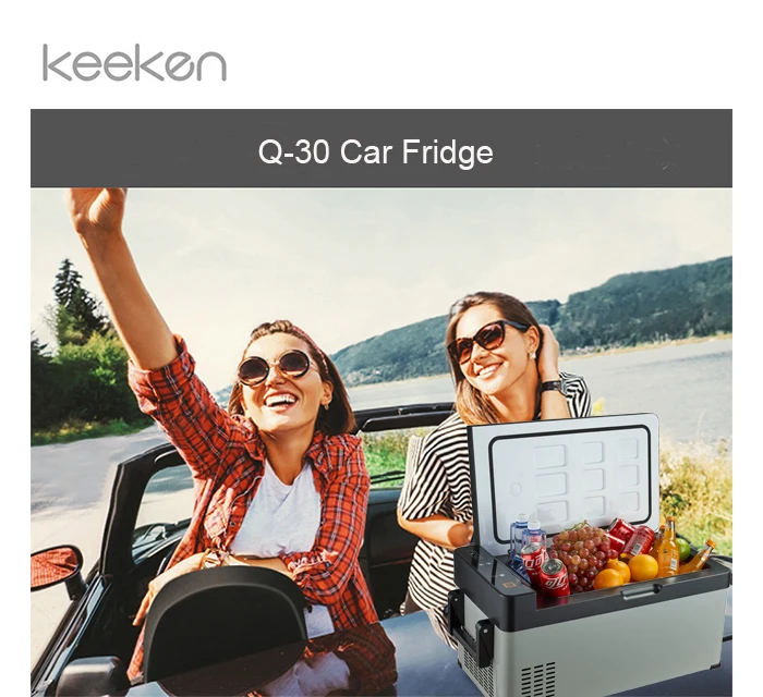 

TULX 30L DC 12/24 Volt Cool Box Portable RV Outdoor Refrigerator Car Fridge Freezer