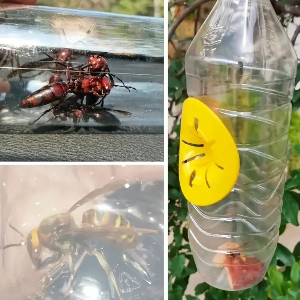 Thumbnail 4 - #12 Top 30 Pest Control Traps Worth Buying In 2026