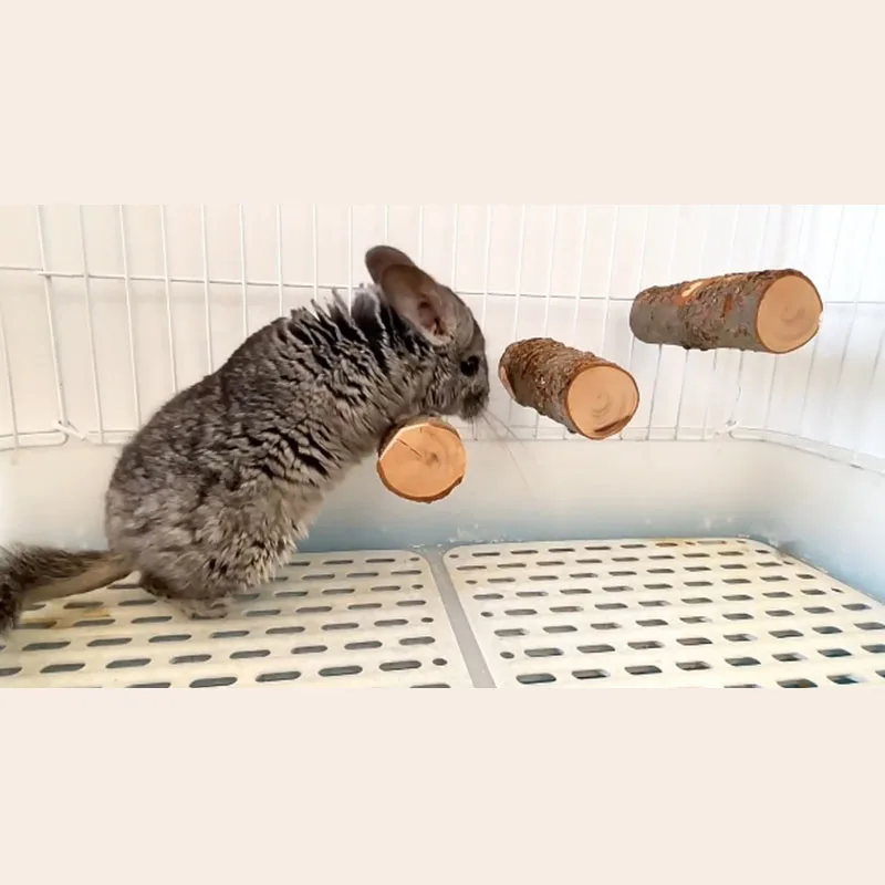 Thumbnail 3 - #41 Hamster Cages Discount Picks