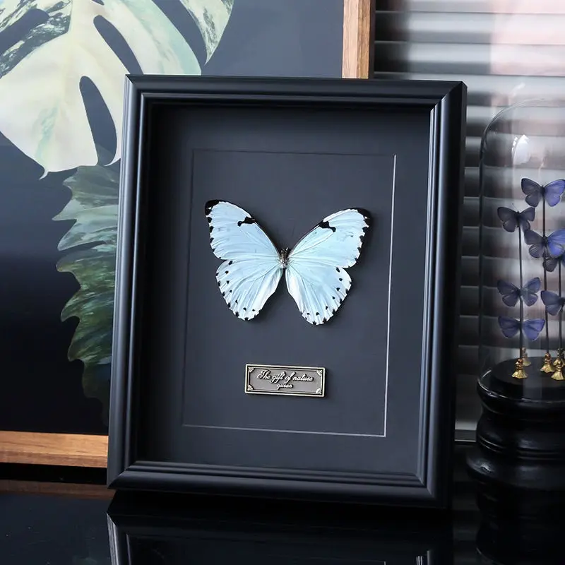 Kent morpho butterfly real butterfly specimen exquisite decorative painting three-dimensional photo frame ornament