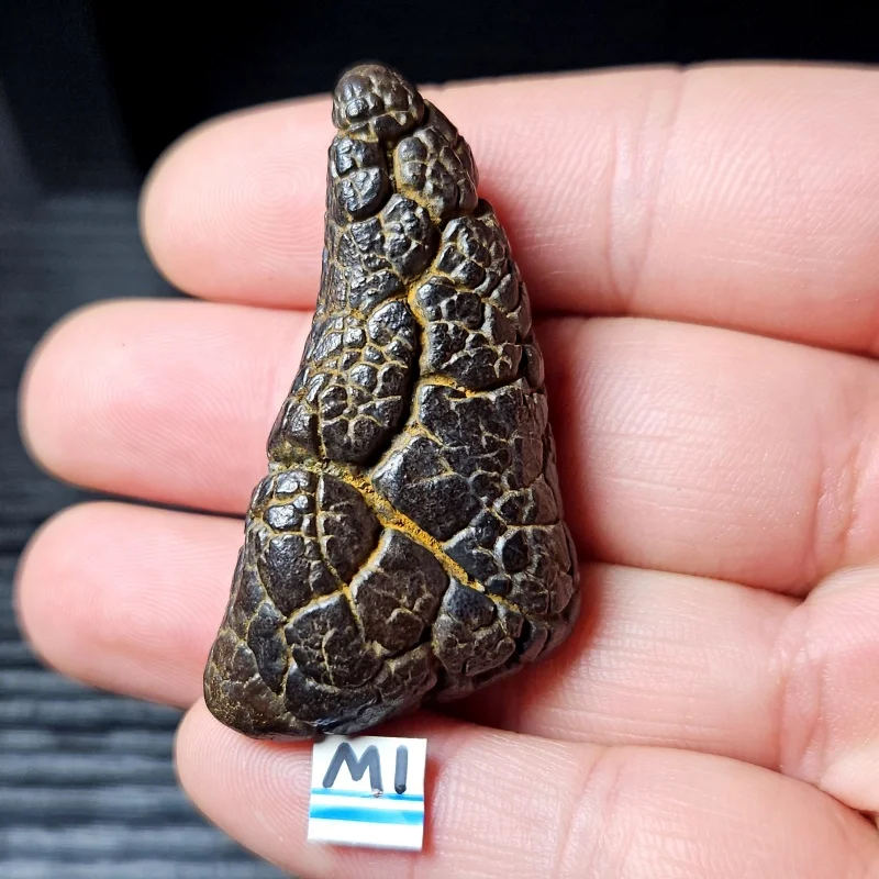 Rare natural iron meteorite mineral specimen Gobi Beach Stone energy magnetic field healing holiday gift