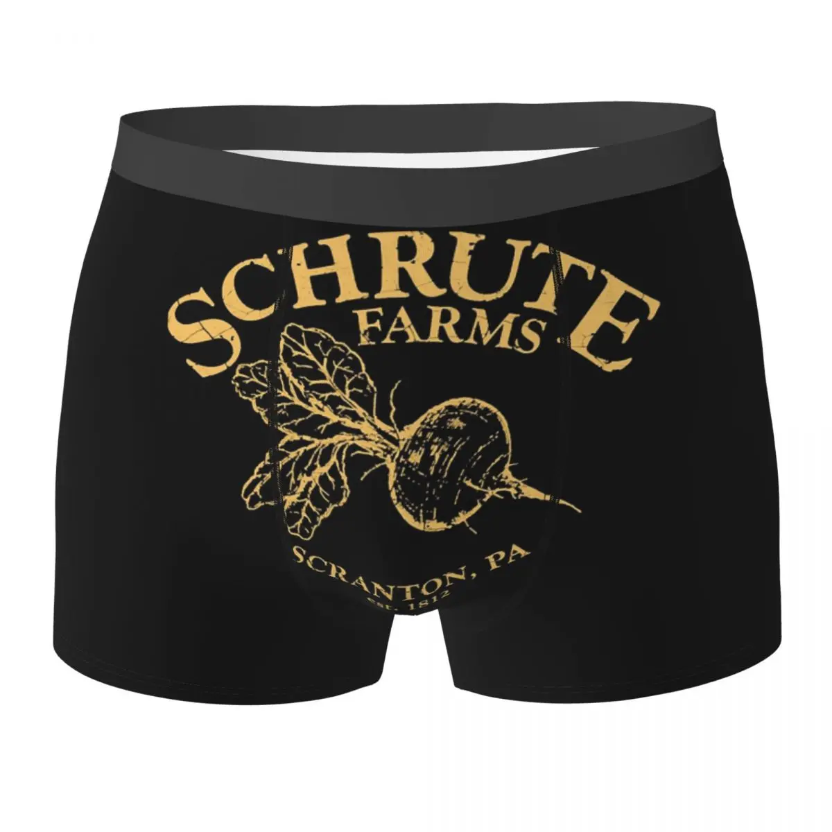 Boxer Underpants Shorts Schrute Farms Panties Men Ventilate Underwear for Homme Man Boyfriend Gift