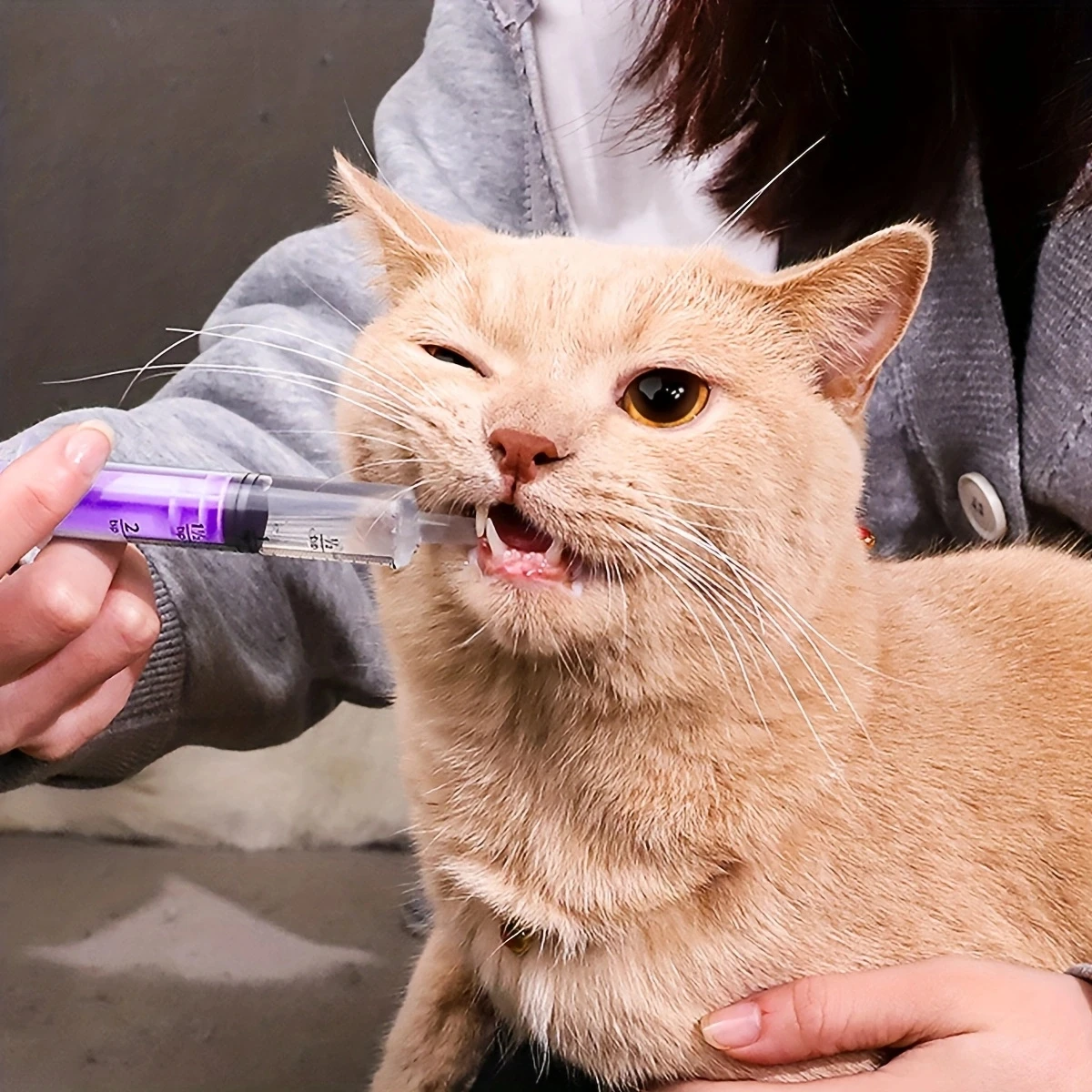 1pc Disposable Pet Syringe Feeder, Easy To Use Cat Water Feeder Cat Milk Feeding Syringe