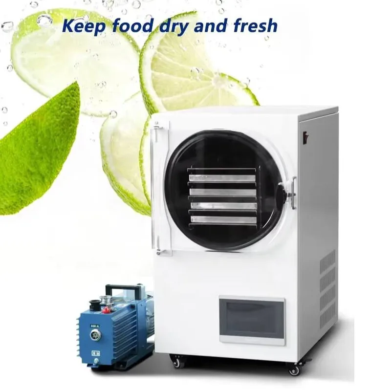 Global Factory Price Vacuum Dryer, Right-Side For Harvesting, Food Freeze Dryer
