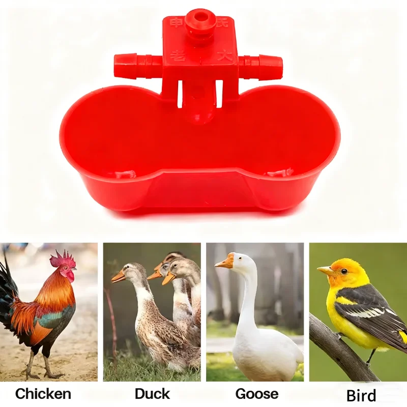 10/20 Stück Hühnertrinknapf, Wasserfütterung für Tauben, Wachteln, automatisches Vogelstall, Trinken, Doppelbecher mit Schrauben, Geflügel-Futterspender – Detail 4
