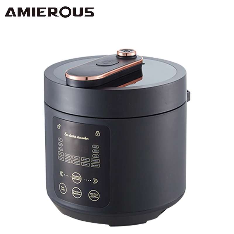 ARIER 12-24V Car Pressure Cooker 2L Portable Multicooker Pot Outdoor Cookware for Truck Kitchen Travel RV Camping(AR-1639)
