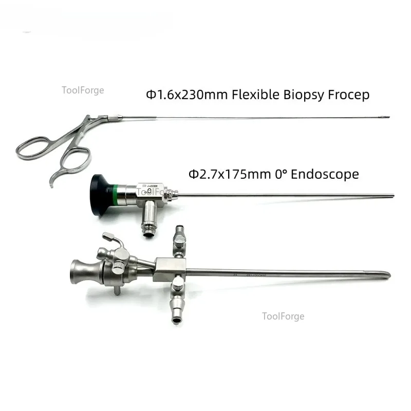 

Medical Surgical Veterinarian Rigid Endoscope Φ2.7mmx175mm 0° 30° With Sheath Forceps Pets Animal Hospital Endoscopy