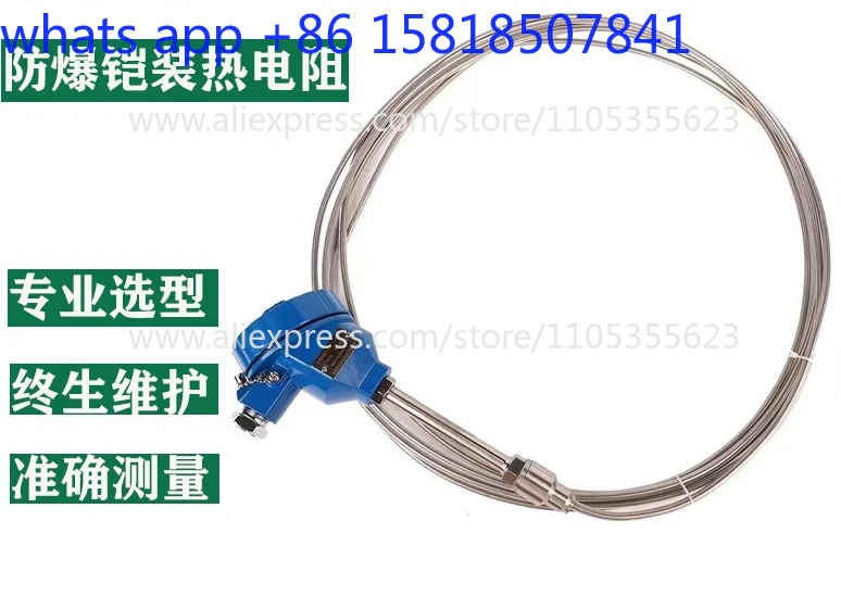 Explosion-proof armored platinum thermal resistance probe type thermal resistor bendable WZP230 pt100K type temperature sensor