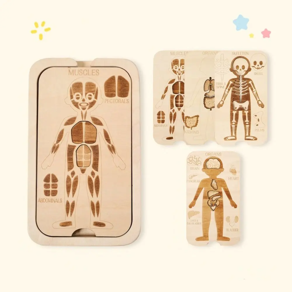 조립식 디자인 몬테소리 퍼즐 인체 모형 해부학 퍼즐 학습 교육용 인체 구조