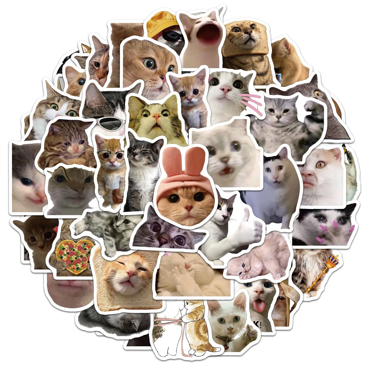 50 PCS Cute Exaggerated Kitten Surprised Expression Stickers Pack Decorate Luggage Skateboard Fridge Scrapbook Removable Decals