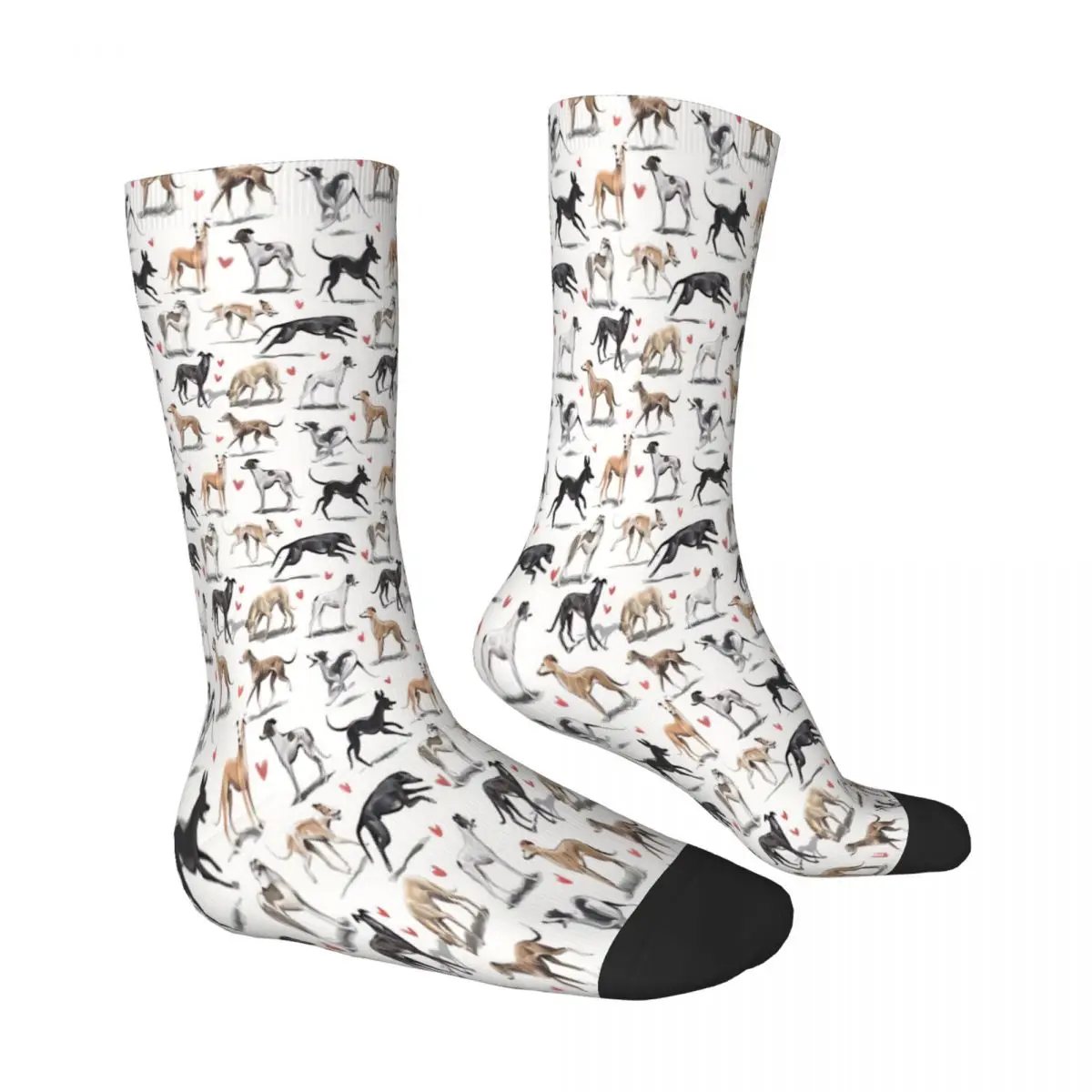 Meme Geryhound Greyhounds Dog Socks Male Mens Women Autumn Stockings Harajuku