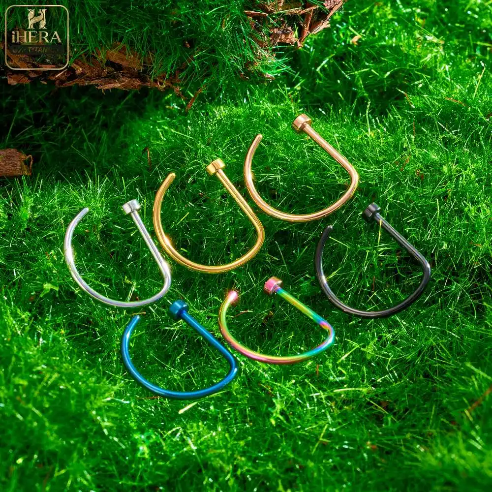 1/10PCS ASTM F136 Titanium Fake Nose Ring Hoop Non Piercing D Shape Nostril Lip Septum Earring Body Jewelry Kit