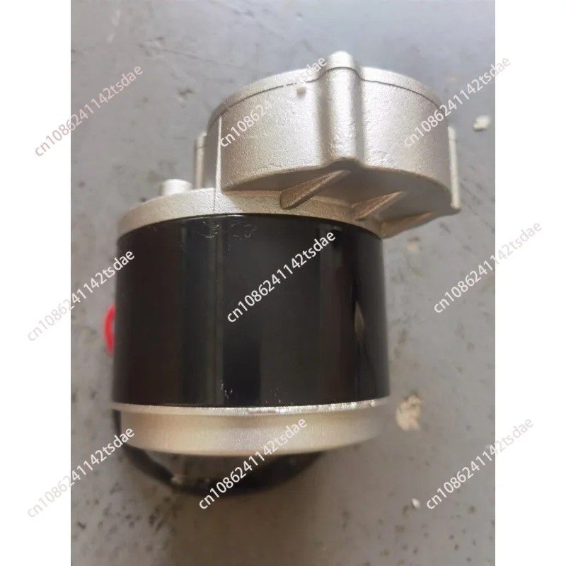 12V250W Geared Motor Kit Expanding Machine Chestnut Machine Agricultural Machinery Food Machinery Modified Motor