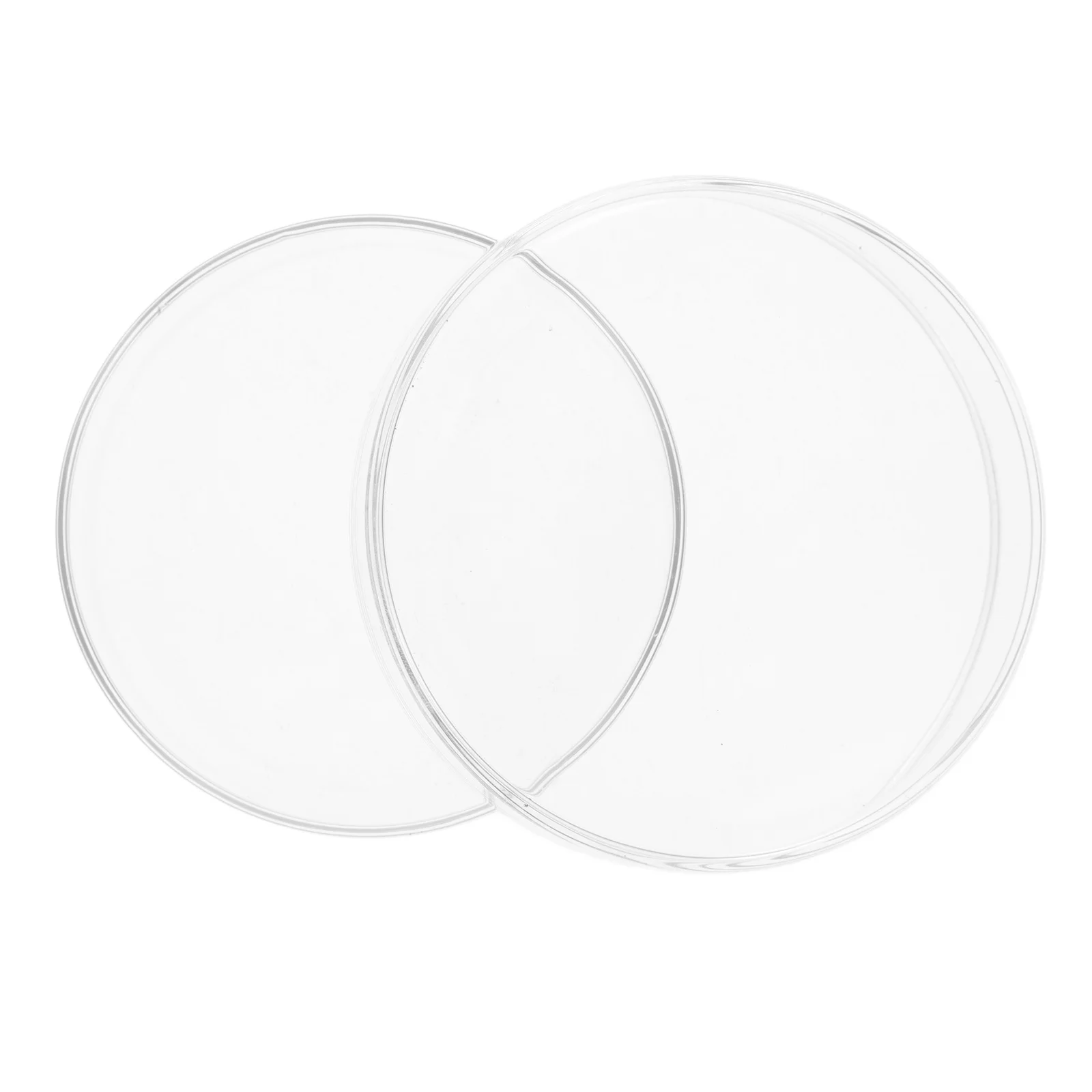 

Culture Plates Clear Dish for Cell Dishes Borosilicate Glass Lab Chemistry Petri