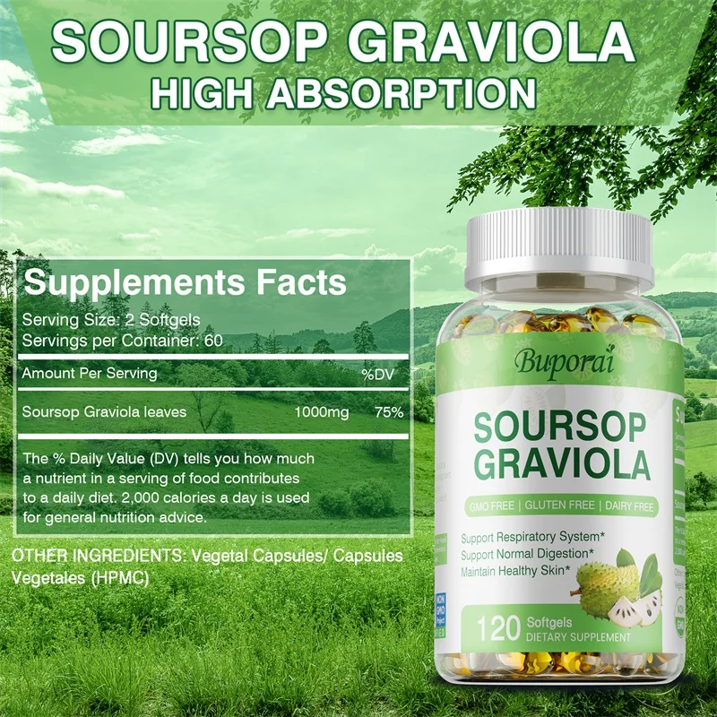 Soursop Graviola - Supports Cell Regeneration, Relieves Stress, Enhances Immunity, and Improves Digestion