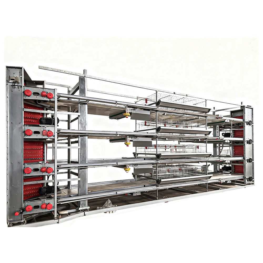 High Density H Type Automatic Layer Cage Full Set Farming Equipment for Large Scale Commercial Chicken Farms