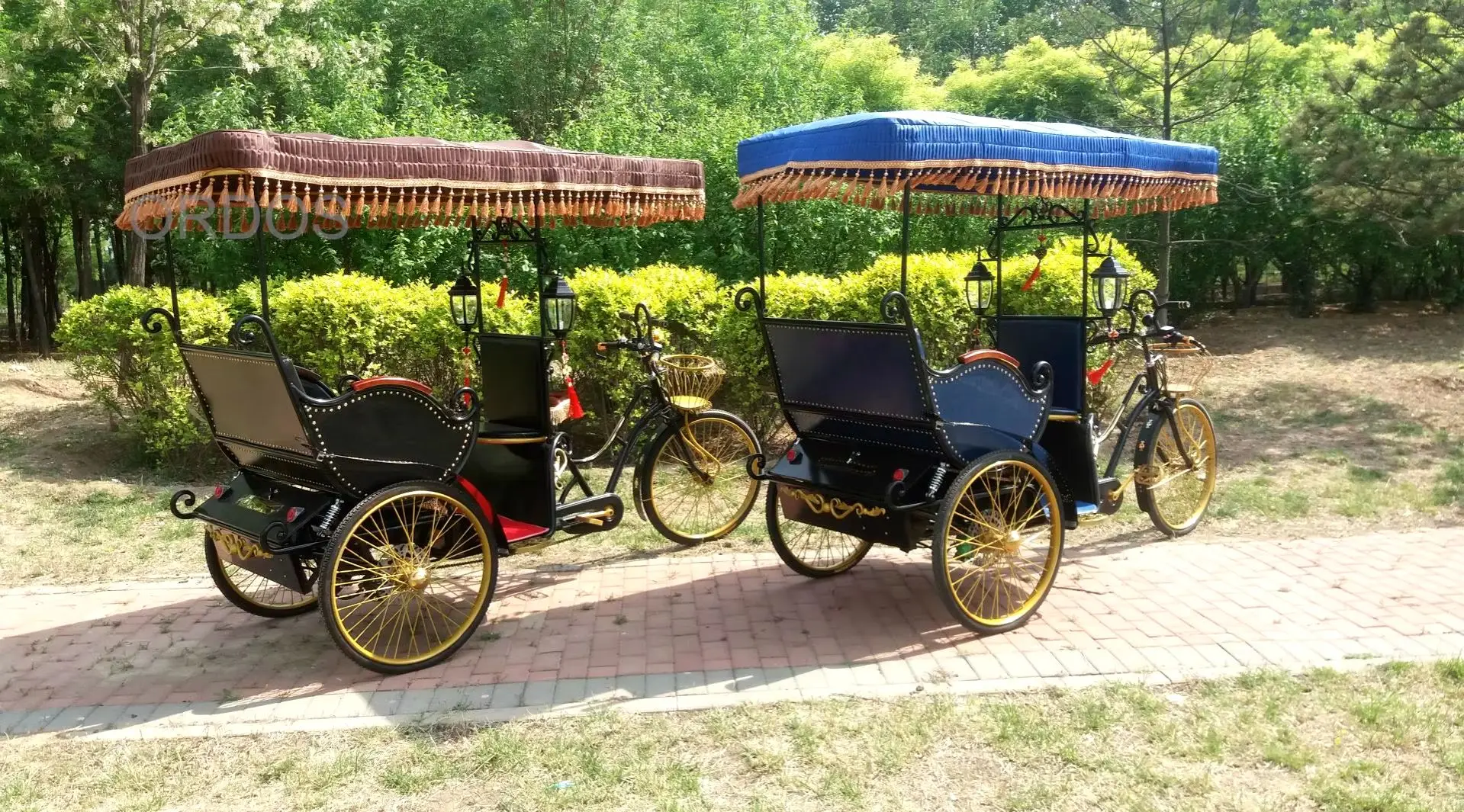 City tour electric tuk tuk pedicab rickshaw tours for passenger High Quality Royal Prince Carriage Royal Horse Carriage