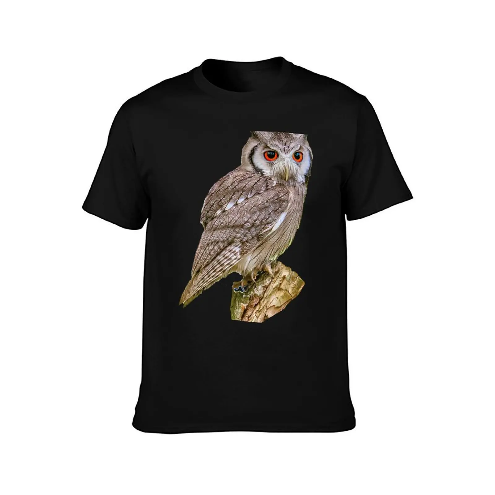 Southern white-faced Scops owl on a tree stump T-Shirt Basic Lightweight Short Sleeve Tee T-Shirt