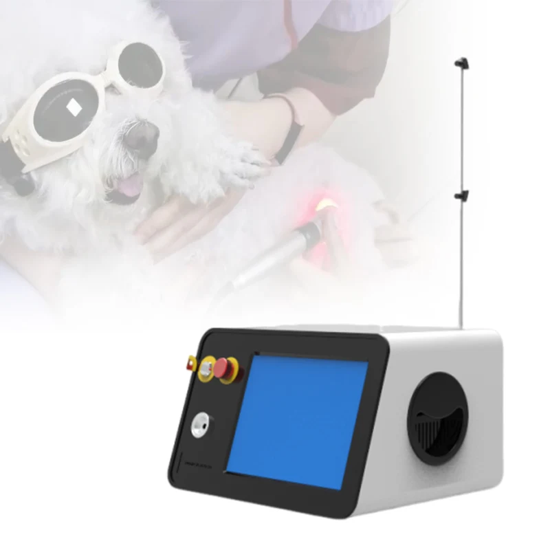 Therapy Red Light Laser 30w Veterinary Co2 Laser Surgical Cutting Machine Laser Surgery Equipment
