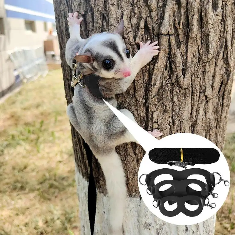 Sugar Glider Training Rope Guinea Pig Walking Rope Sugar Glider Harness And Rope Set Pet Traction Rope For Sugar Glider Squirrel