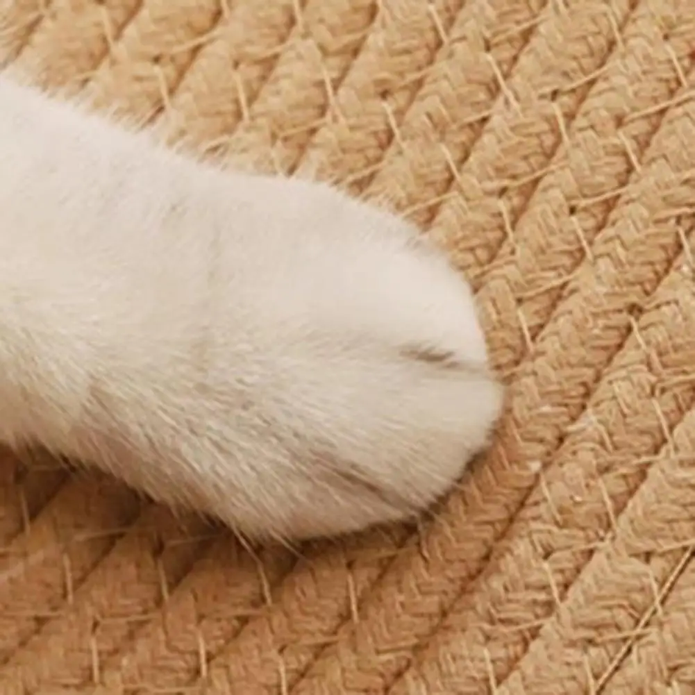 Modern Cat Bed Rug Cotton Rope Cat Scratching Rug Reversible Woven Round Area Rug with Tassels Soft Washable Floor for Bedroom