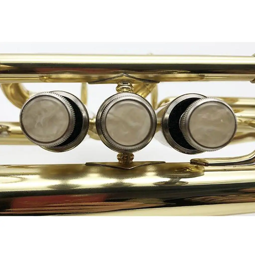 9 Pieces Plastic Trumpet Key Buttons Replacement Round Inlays Kit for Repairing Trumpet Cornet Palm
