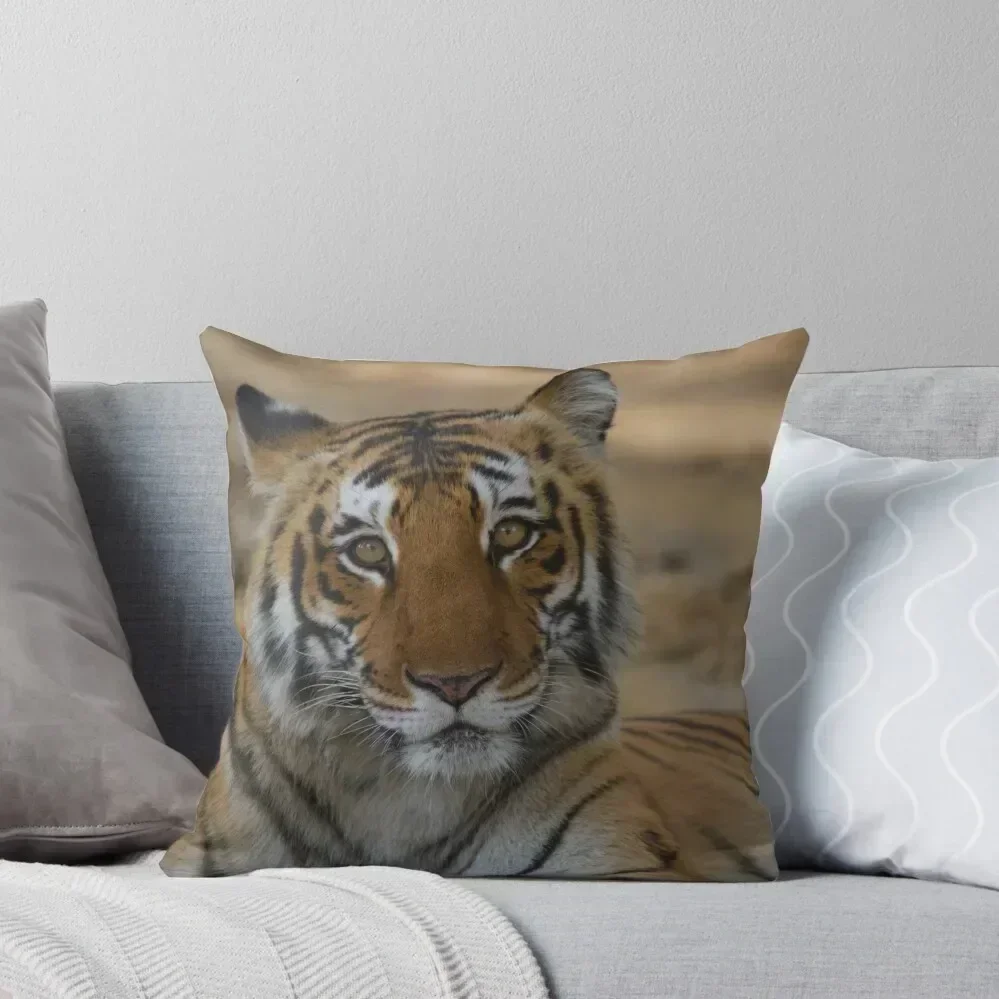 royal bengal tiger portrait Throw Pillow Pillowcases Cushion Covers Sofa Throw Pillow Covers Cushions For Sofa pillow