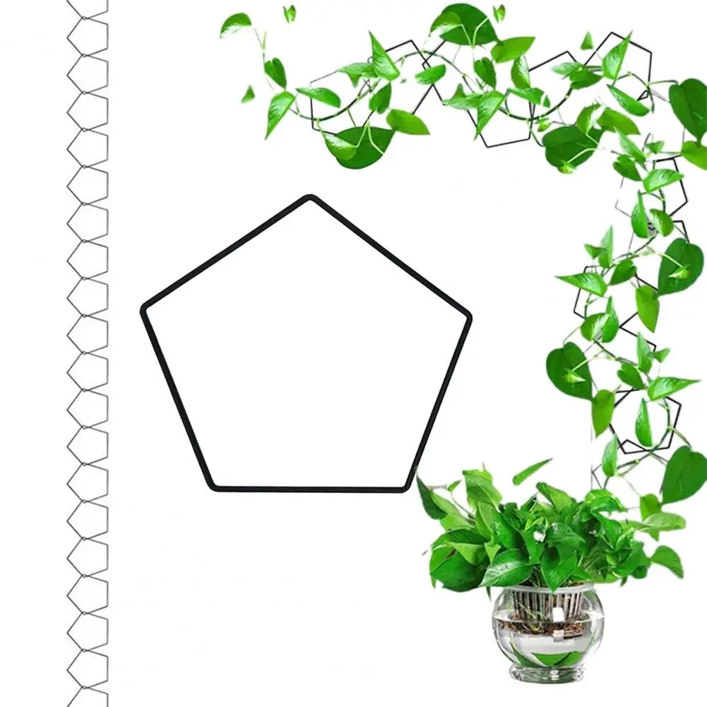 

20Pcs Chain Trellis Climbing Plants Pentagonal Ring Plant Vine Support Kit Stainless Steel Garden Wall Decor For Vines Pothos