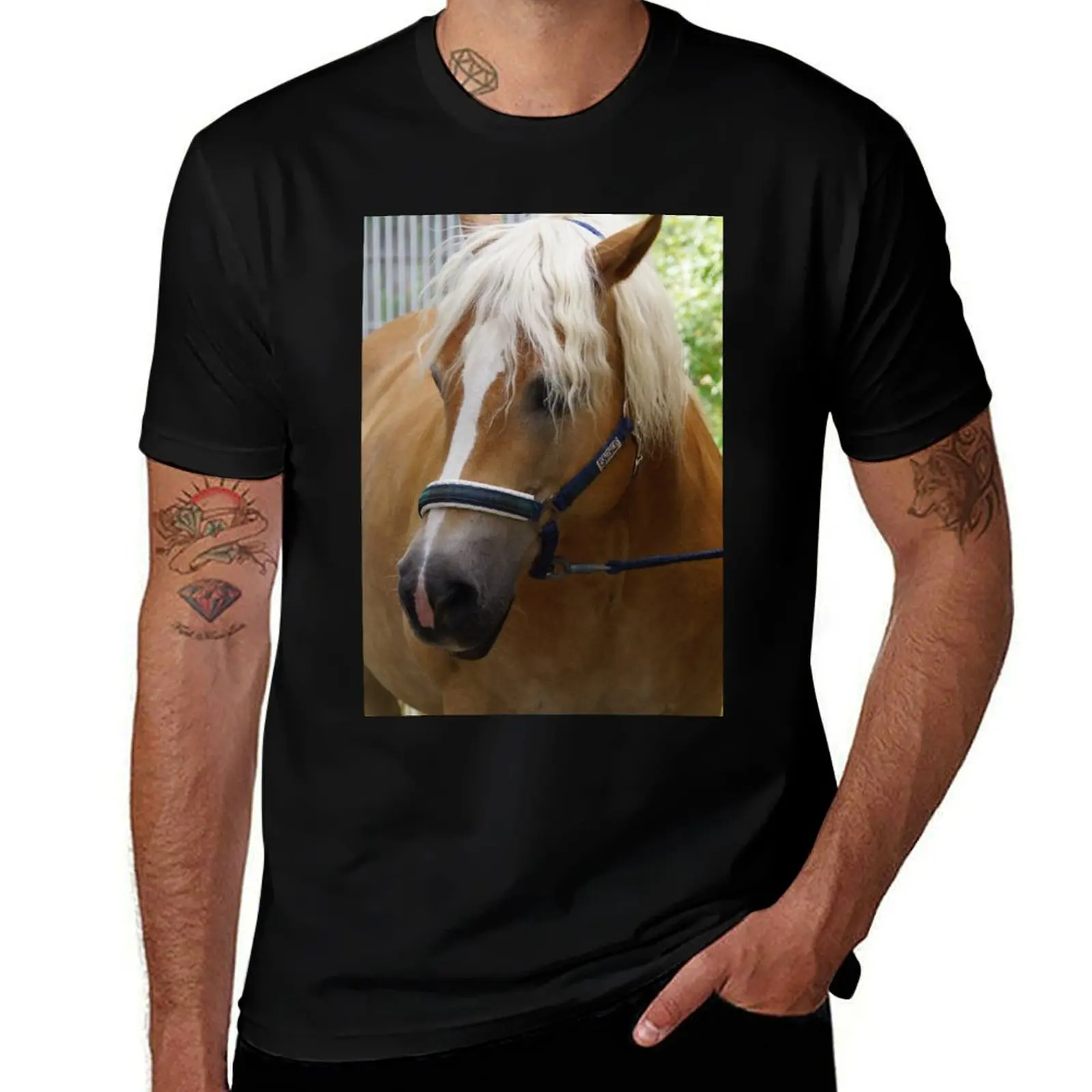 

Haflinger T-Shirt t shirt men 100% cotton luxury brand funny t shirts cotton T-Shirt