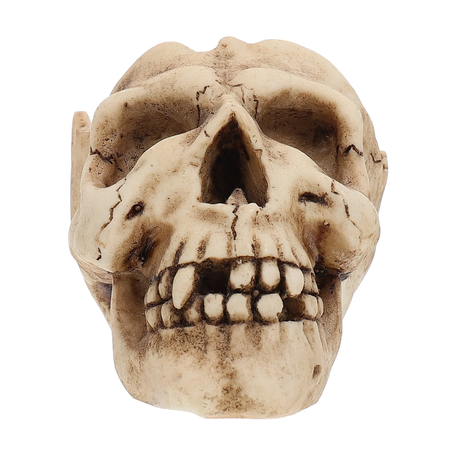 

Hotel Ornament Cigarette Ash Tray Decoration Holder Smoking Ashtray Stylish Accessories Decorative Skull Head Shape