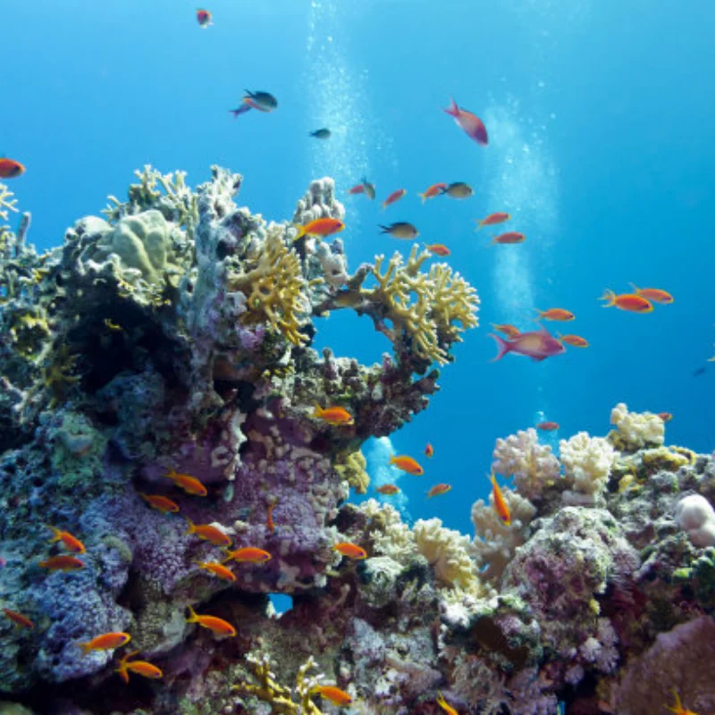 

Metal Front Rear Bumper with Tow Hook Defender for 1/10 RC Crawler Axial SCX10 90046 SCX10 III AXI03007 Trxs TRX4