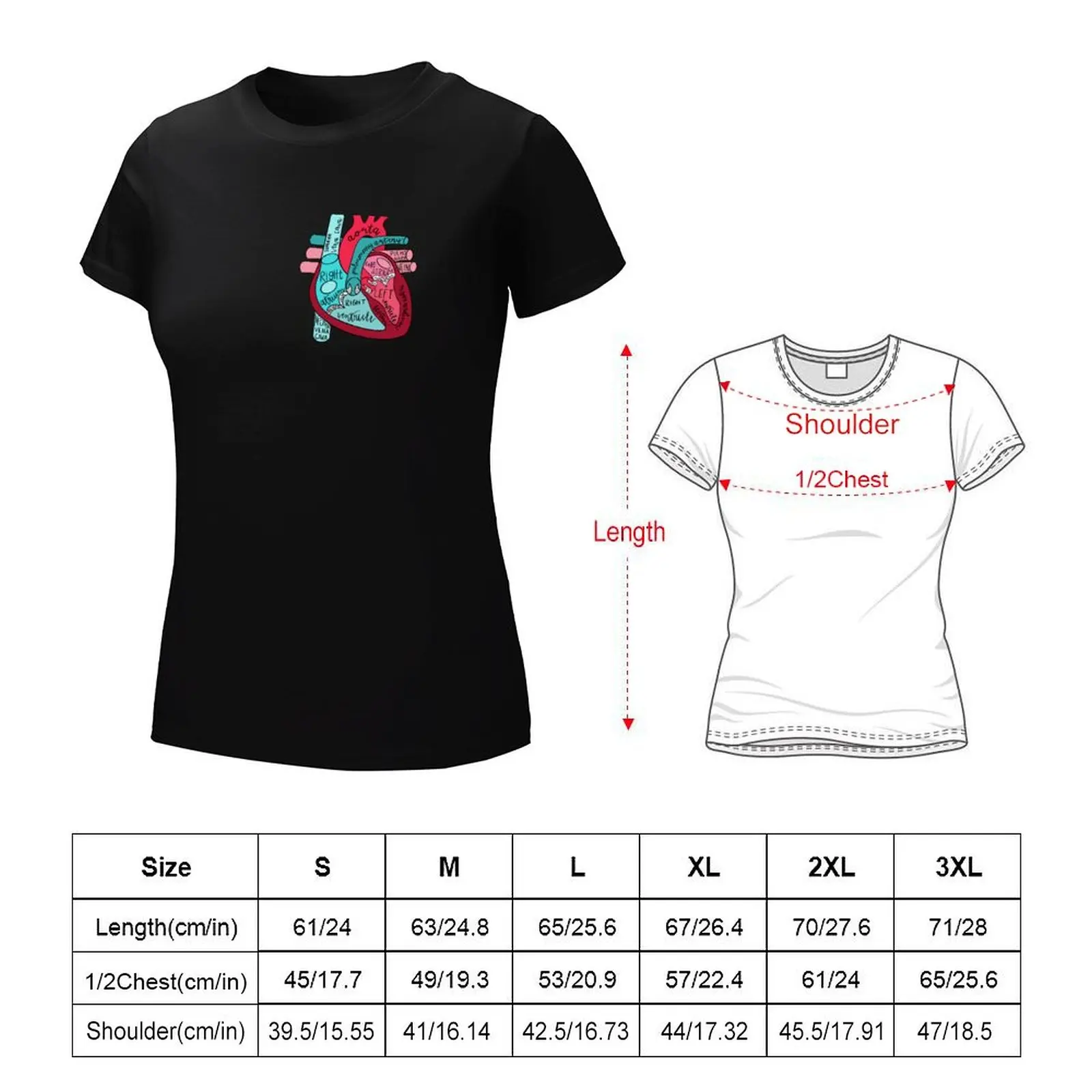 Labeled Anatomical Heart T-Shirt female plus size tops t-shirt dress for Women sexy