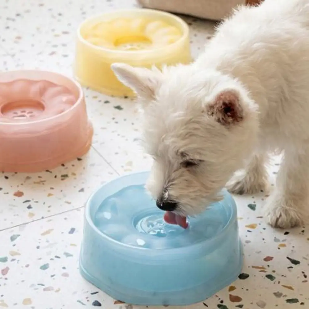 Plastic Pet Floating Water Bowl Anti-Splash Spill Proof Pet Water Dispenser Large Capacity No Wet Mouth Cat Bowl