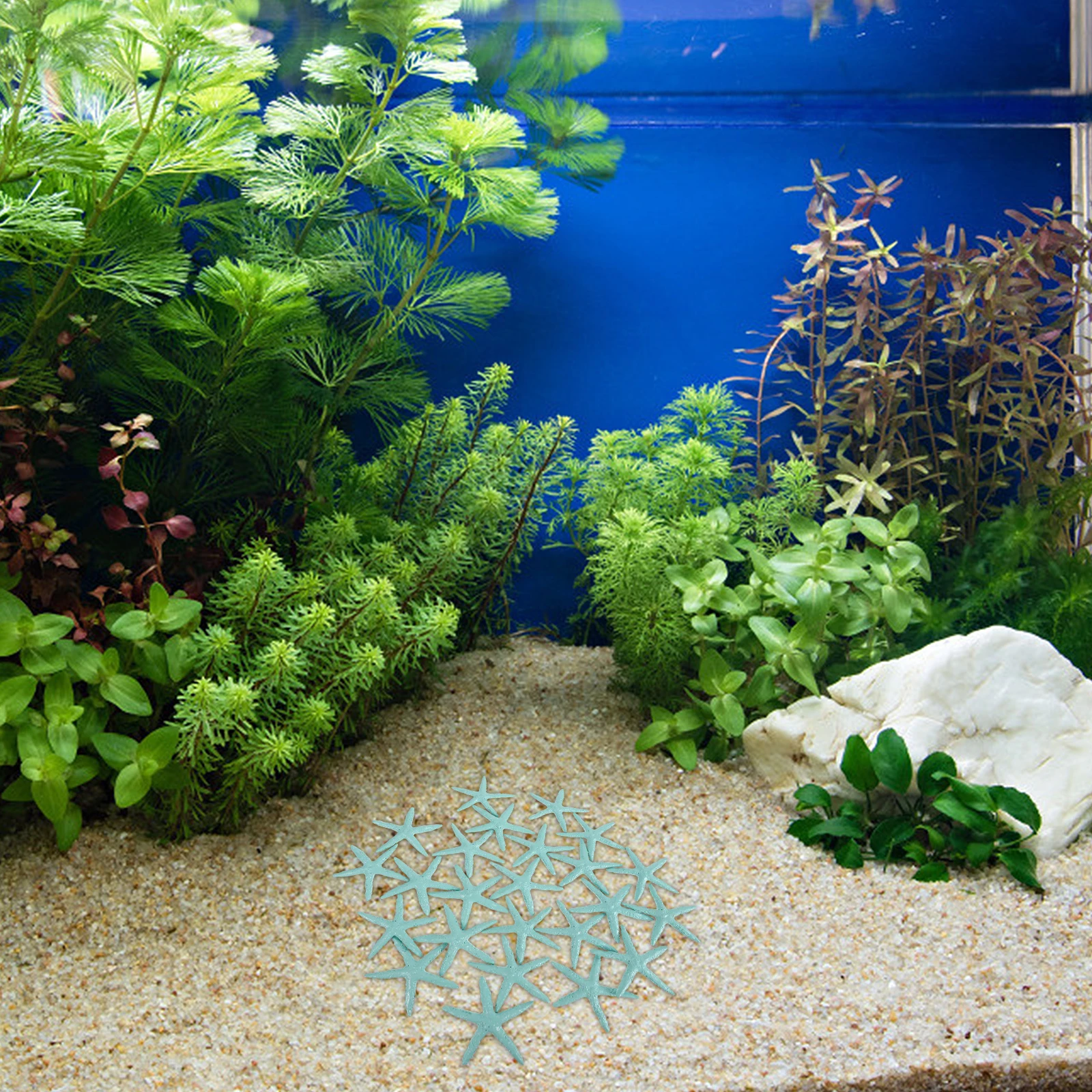 

24Pcs Resin Sea Star Miniatures Durable Smooth Edgeless Fish Tank Decorations Aquarium Landscape Crafts Realistic