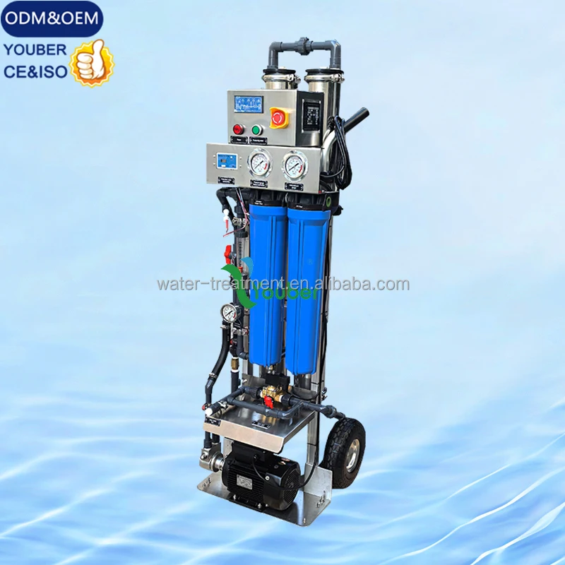 500LPH RO Desalination Plant Outdoor Solar Panel Window Cleaning Drinking Water Filter System Commercial Reverse Osmosis Machine