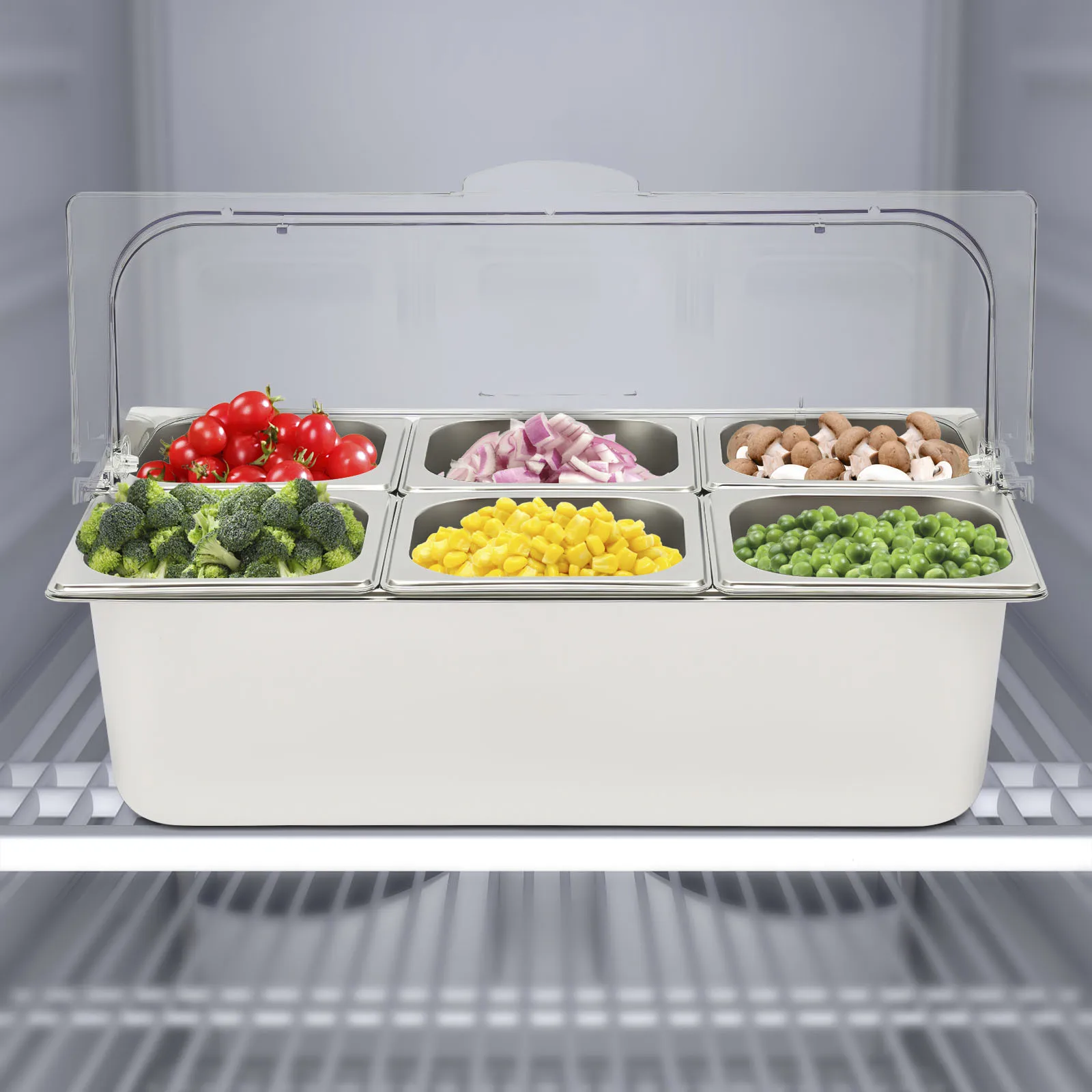 

Winter Countertop Food Container, 6 Pans Condiment Dispenser Salad Dressing Appetizer Spice Fruit Cold Serving Buffet Tray