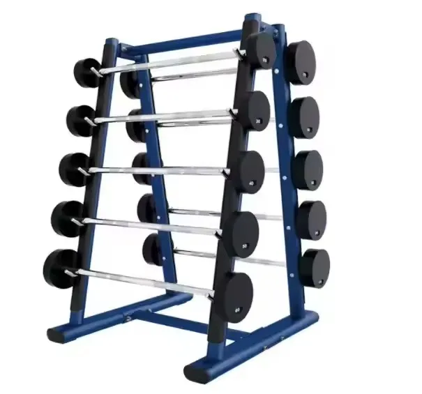 

Fixed Steel Barbell Rack Commercial Gym Dumbbell & Weight Storage Equipment
